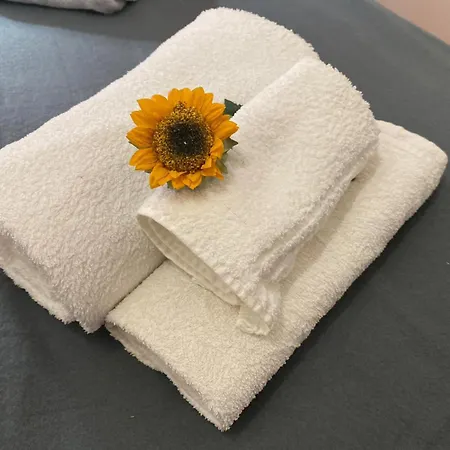 Sorapiss Lorenzago Di Cadore